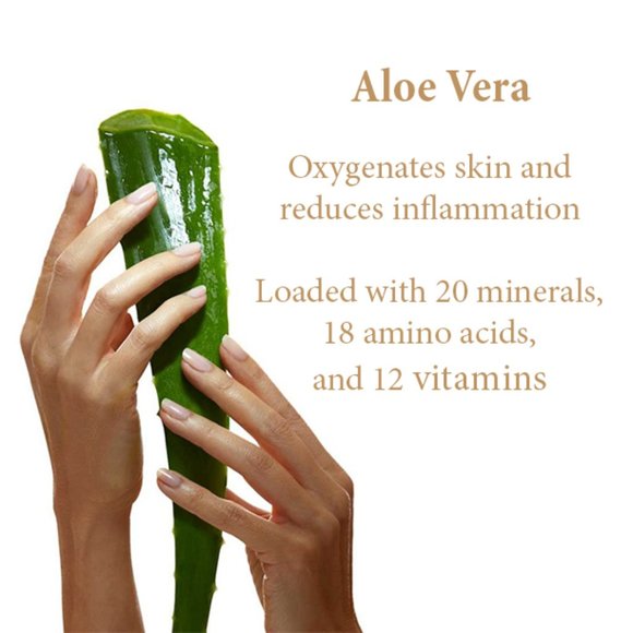 Moisture Bundle Moisturizer Face Hands and Body